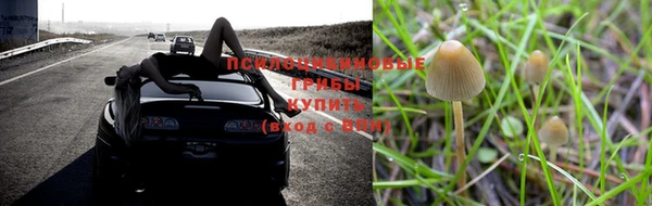 молекула духа Гусев
