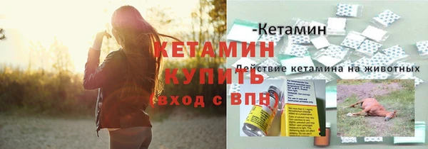 молекула духа Гусев