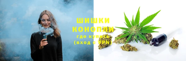 молекула духа Гусев