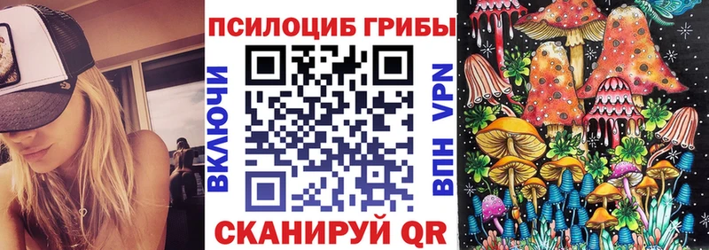 Купить  Райчихинск  Псилоцибиновые грибы GOLDEN TEACHER 